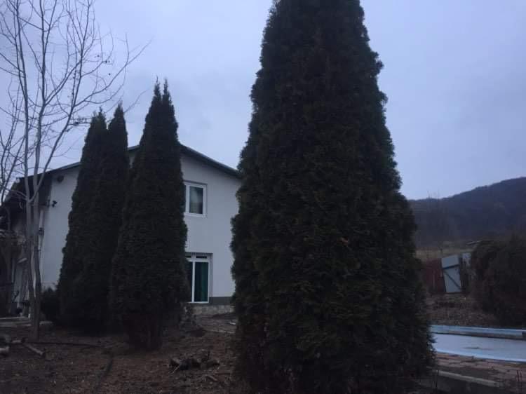 Casa Din Deal Podis Экстерьер фото